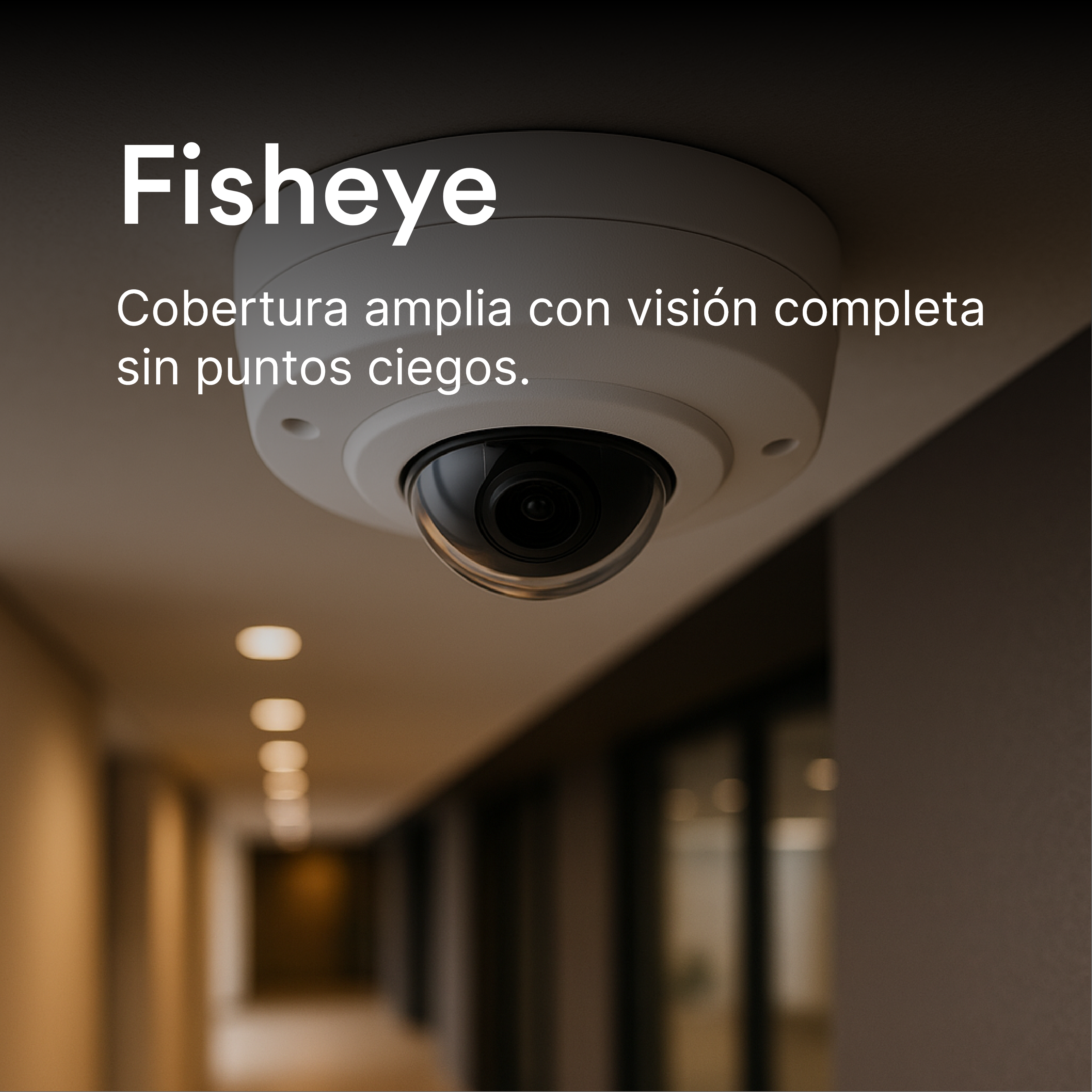 Cámaras Panorámicas Analógicas