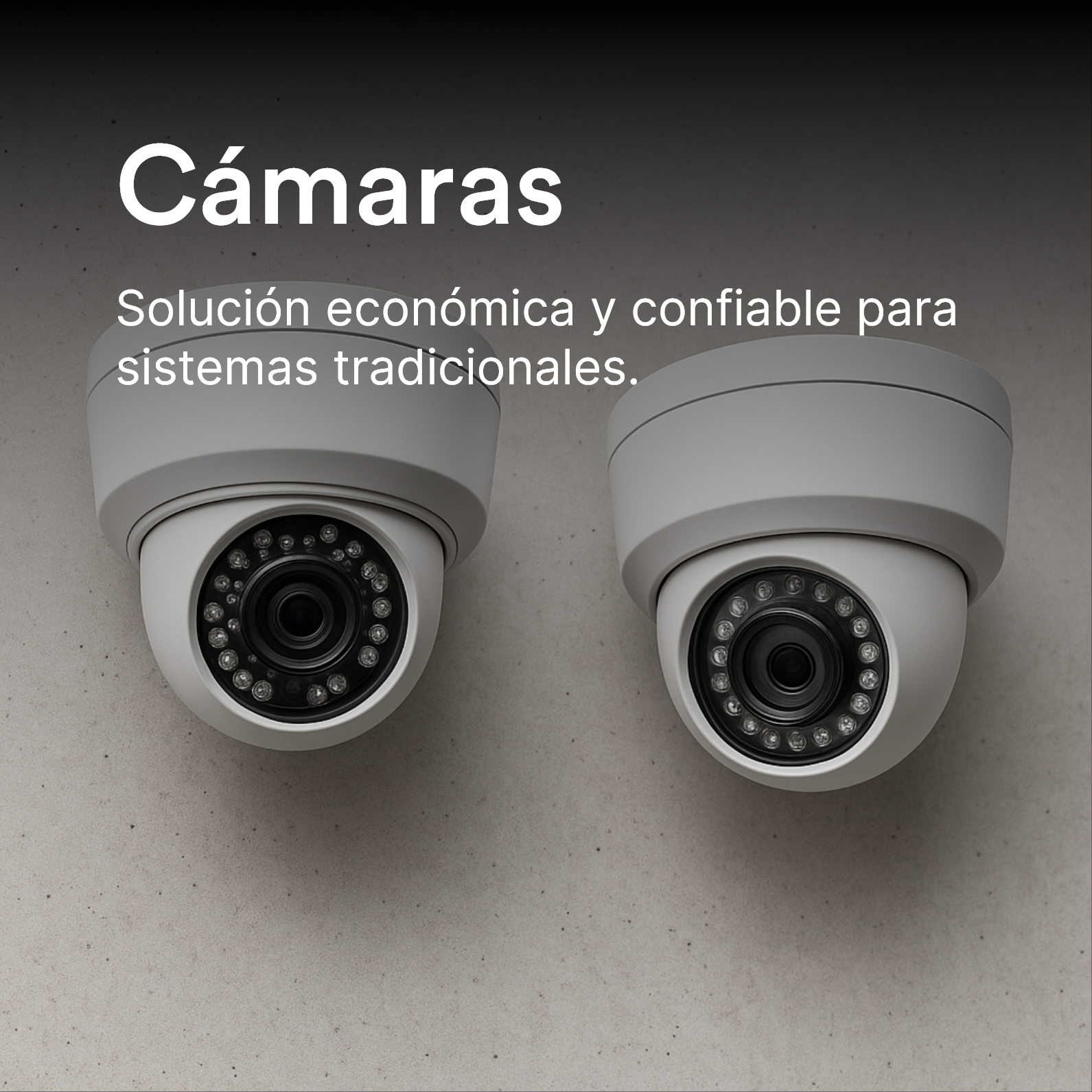 Cámaras Analógicas