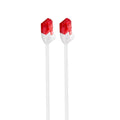 Ewent IM1035 cable de red 0,25 m Cat6 U/UTP (UTP) Blanco - imagen 1