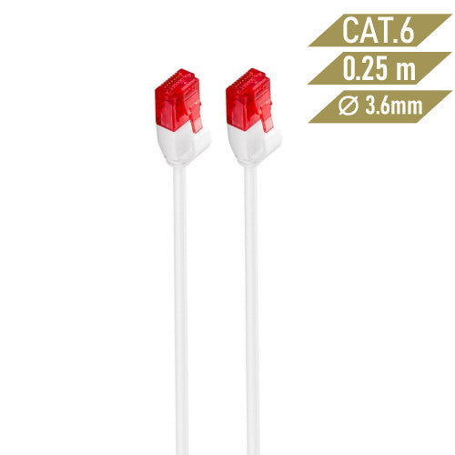 Ewent IM1035 cable de red 0,25 m Cat6 U/UTP (UTP) Blanco - imagen 2