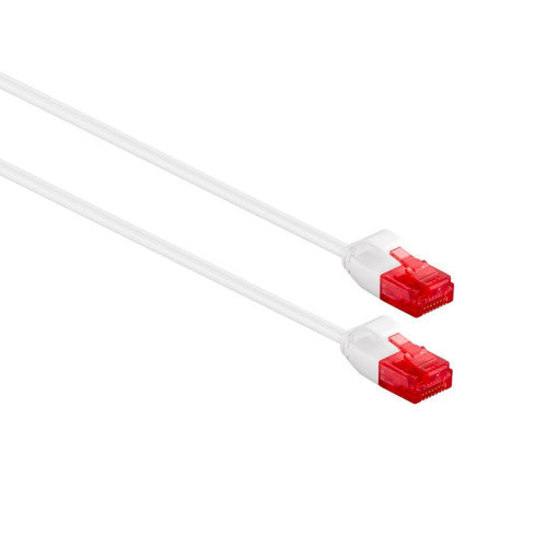 Ewent IM1035 cable de red 0,25 m Cat6 U/UTP (UTP) Blanco - imagen 3