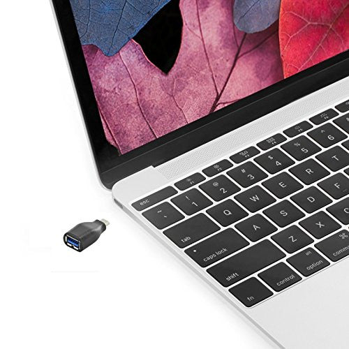 Ewent EW-100518-000-N-P cambiador de género para cable USB 3.1 Type C USB 3.1 Type A Negro - imagen 2