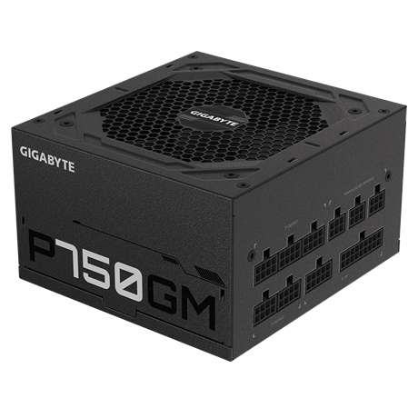 Gigabyte P750GM unidad de fuente de alimentación 750 W 20+4 pin ATX ATX Negro - imagen 3