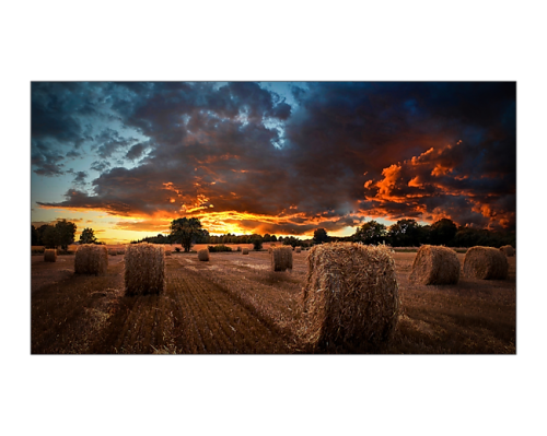 Imagen de Samsung Pantalla Video Wall 55" Ultra Narrow Bezel 500 cd/m² Montaje VESA