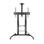TooQ ZEUS 2,54 m (100") Negro - imagen 2