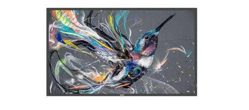 Imagen de Philips Monitor 65" Q-Line 4K Ultra HD IPS 400 cd/m² 18/7 Uso Landscape