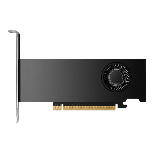 PNY NVIDIA RTX 2000 Ada Generation 16 GB GDDR6 - imagen 1