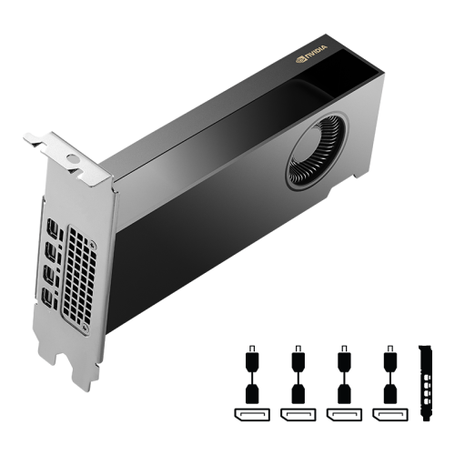 PNY NVIDIA RTX 2000 Ada Generation 16 GB GDDR6 - imagen 2