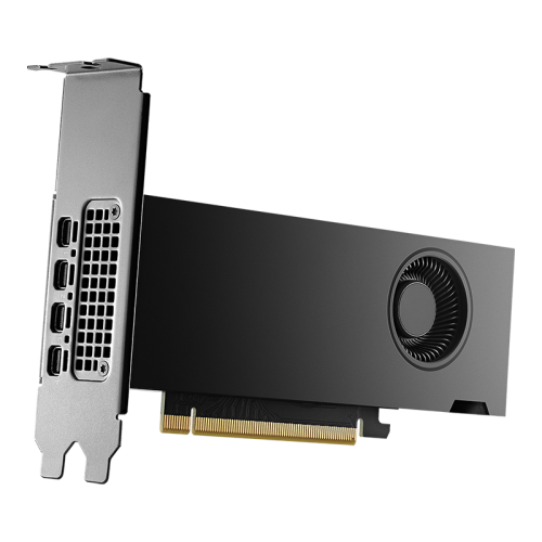 PNY NVIDIA RTX 2000 Ada Generation 16 GB GDDR6 - imagen 3