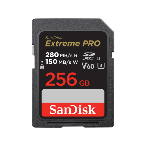 SanDisk SDSDXEP-256G-GN4IN memoria flash 256 GB SDXC UHS-II Clase 10 - imagen 1