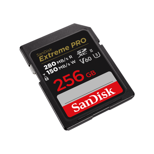 SanDisk SDSDXEP-256G-GN4IN memoria flash 256 GB SDXC UHS-II Clase 10 - imagen 3