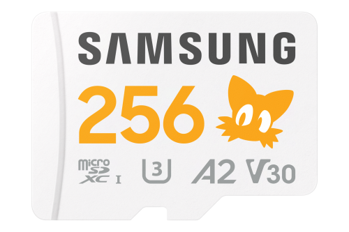 Samsung MB-MD256S 256 GB MicroSDXC UHS-I Clase 10 - imagen 1