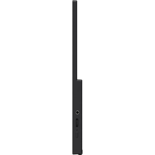 MSI PRO MP165 E6 monitor o TV portátil Monitor portátil Negro 39,6 cm (15.6") LED 1920 x 1080 Pixeles - imagen 2