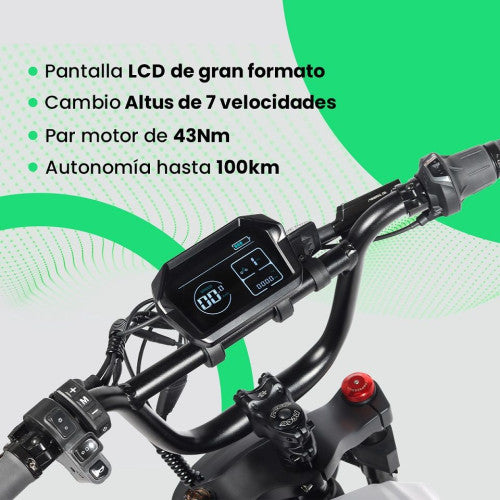YOUIN E-BIKE URBAN STYLE FAT - imagen 2
