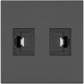 KRAMER ROOM CONNECTIVITY PASSIVE BLACK MODULE WITH 2 RJ45 PORTS INPUT. 2 FEMALE OUTPUT CAT6A- MD-2RJ45(B) (80-000373)