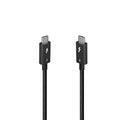 Lindy 31130 cable Thunderbolt 1 m 80 Gbit/s Negro - imagen 1