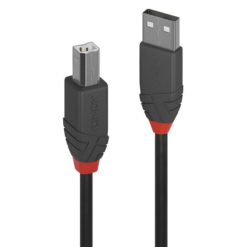 Lindy 36673 cable USB USB 2.0 2 m USB A USB B Negro - imagen 1