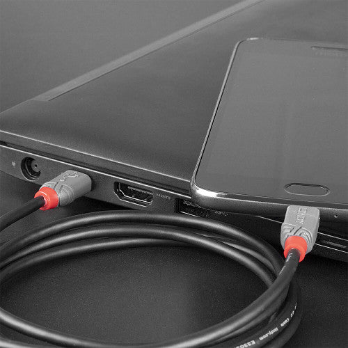 Lindy 36893 cable USB USB 2.0 3 m USB C Micro-USB B Negro - imagen 3