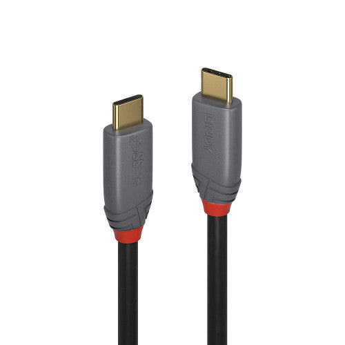 Lindy 36901 cable USB 1 m USB C Negro, Gris - imagen 1