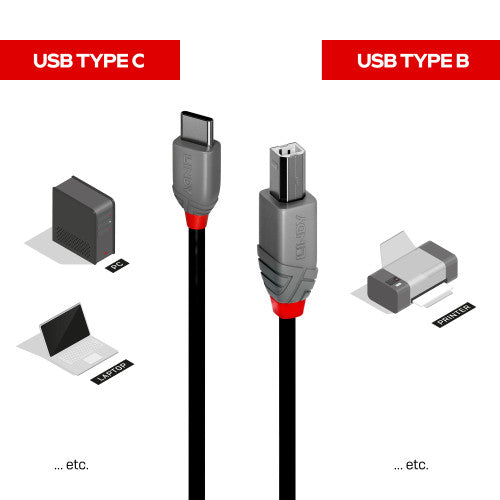 Lindy 36941 cable USB USB 2.0 1 m USB C USB B Negro - imagen 3