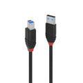 Lindy 43227 cable USB USB 3.2 Gen 1 (3.1 Gen 1) 10 m USB A USB B Negro - imagen 1