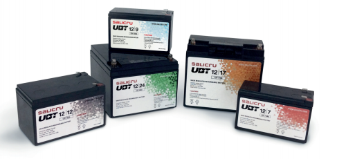 SALICRU BATERIA 12Ah/12V GP12120F2 - imagen 2