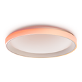 AQARA AQ-CL-L02D - Aqara LED Plafón T1M - Luz principal blanca con ajuste cálido a frío - Anillo exterior RGBIC con efectos dinámicos - Zigbee / Matter / Repetidor de señal Zigbee - Soporta AC220V - 240V / 40W nominales - Compatible con Apple Homekit / Al - imagen 1