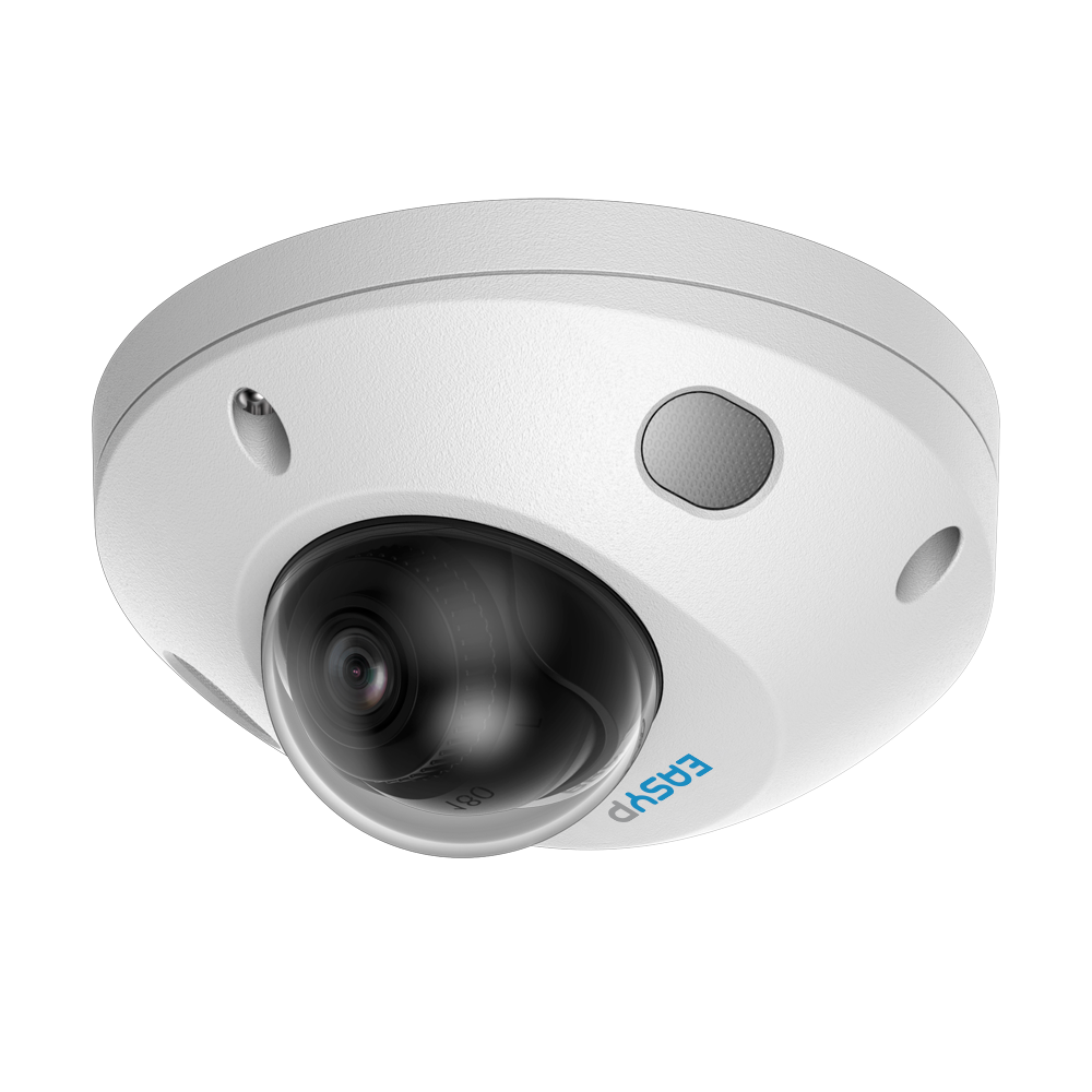 EASY-P EP-IPD310A-5-DL - Cámara Domo IP AI EASY-P - 5MP | Lente 2.8 mm - Doble Iluminación 25 m | Micrófono - Instalación Plug &amp; Play - IA por Humanos y/o Vehículos - IP67 | PoE | IK08 | P2P | Metal
