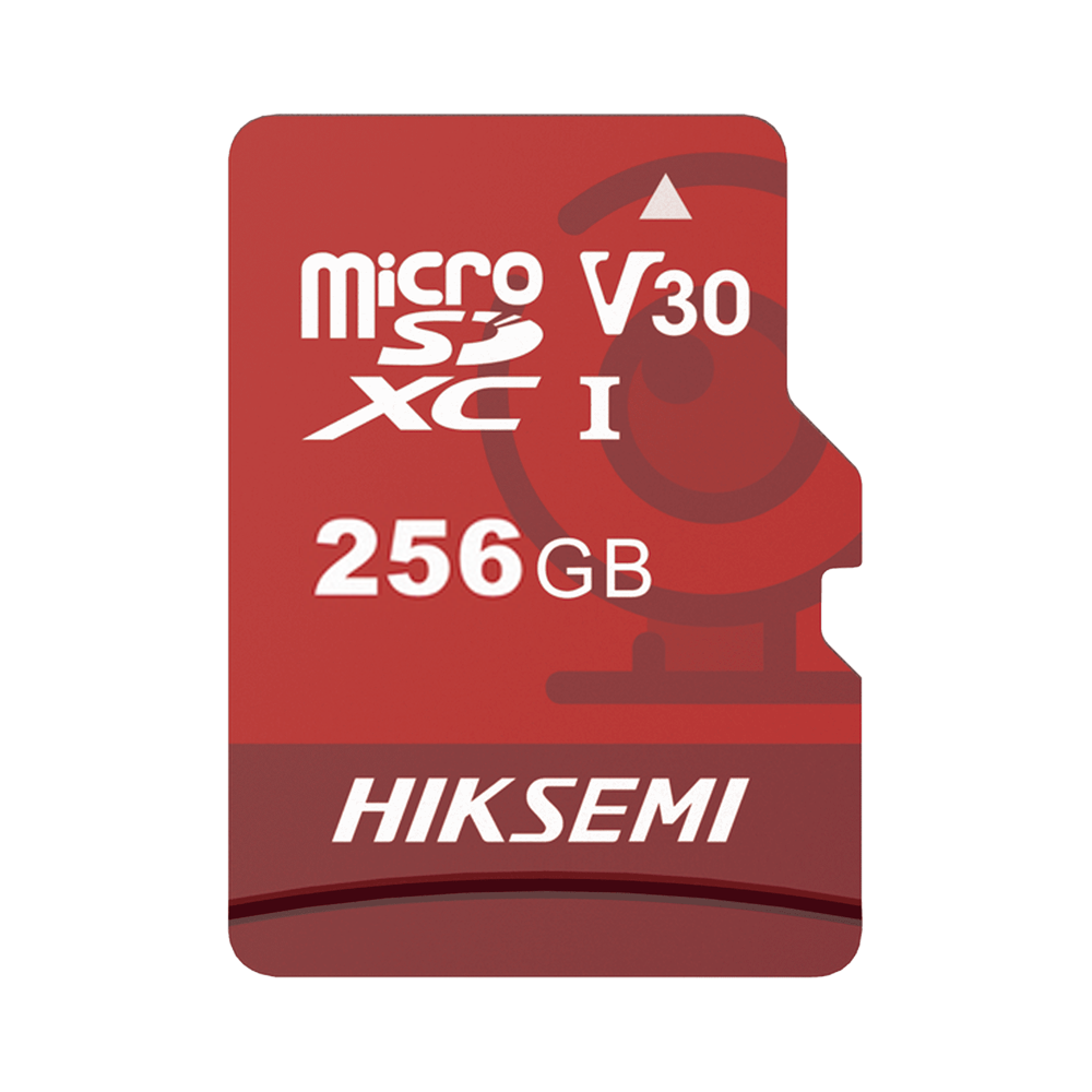 HIKVISION HS-TF-E1-256G