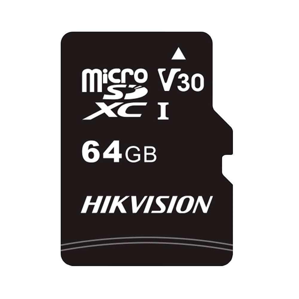 HIKVISION HS-TF-L2-64G