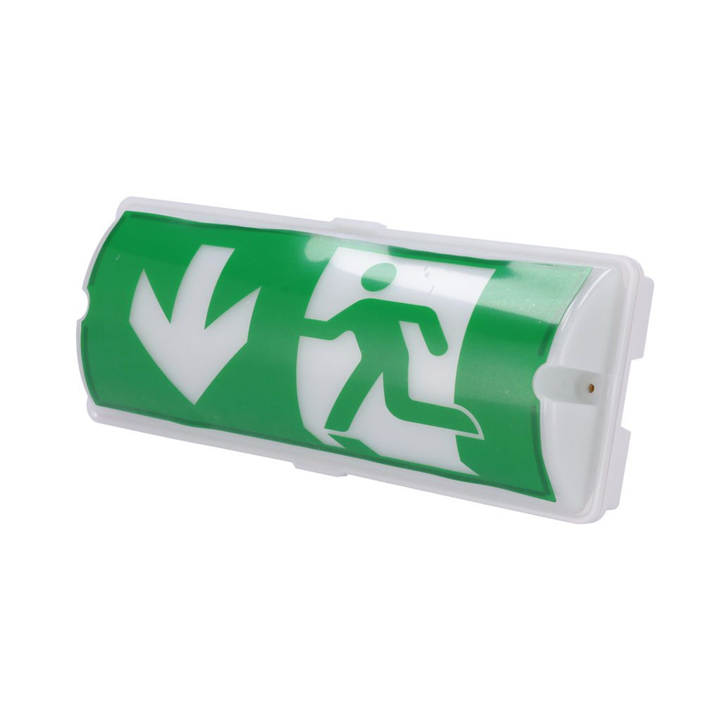 JADE BIRD JBE-BY-B2236E - Luz LED de salida de emergencia - Resistente al fuego - Batería con autonomía con 3h de funcionamiento - Clasificación de resistencia a la intemperie P65 - imagen 1