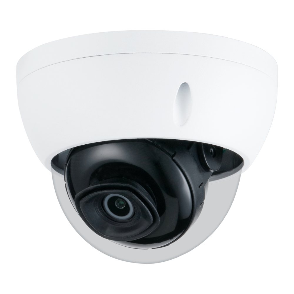 X-SECURITY XS-IPD842SW-2P-AI - imagen 1