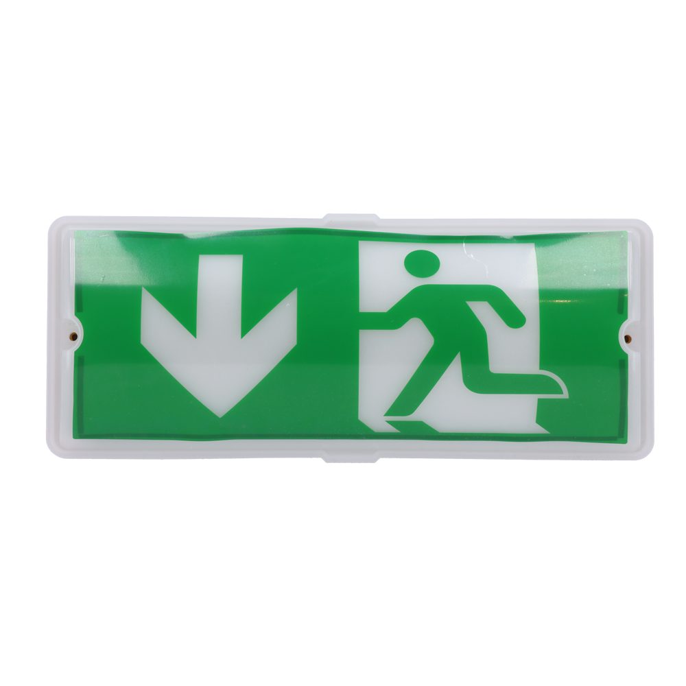 JADE BIRD JBE-BY-B2236E - Luz LED de salida de emergencia - Resistente al fuego - Batería con autonomía con 3h de funcionamiento - Clasificación de resistencia a la intemperie P65 - imagen 2