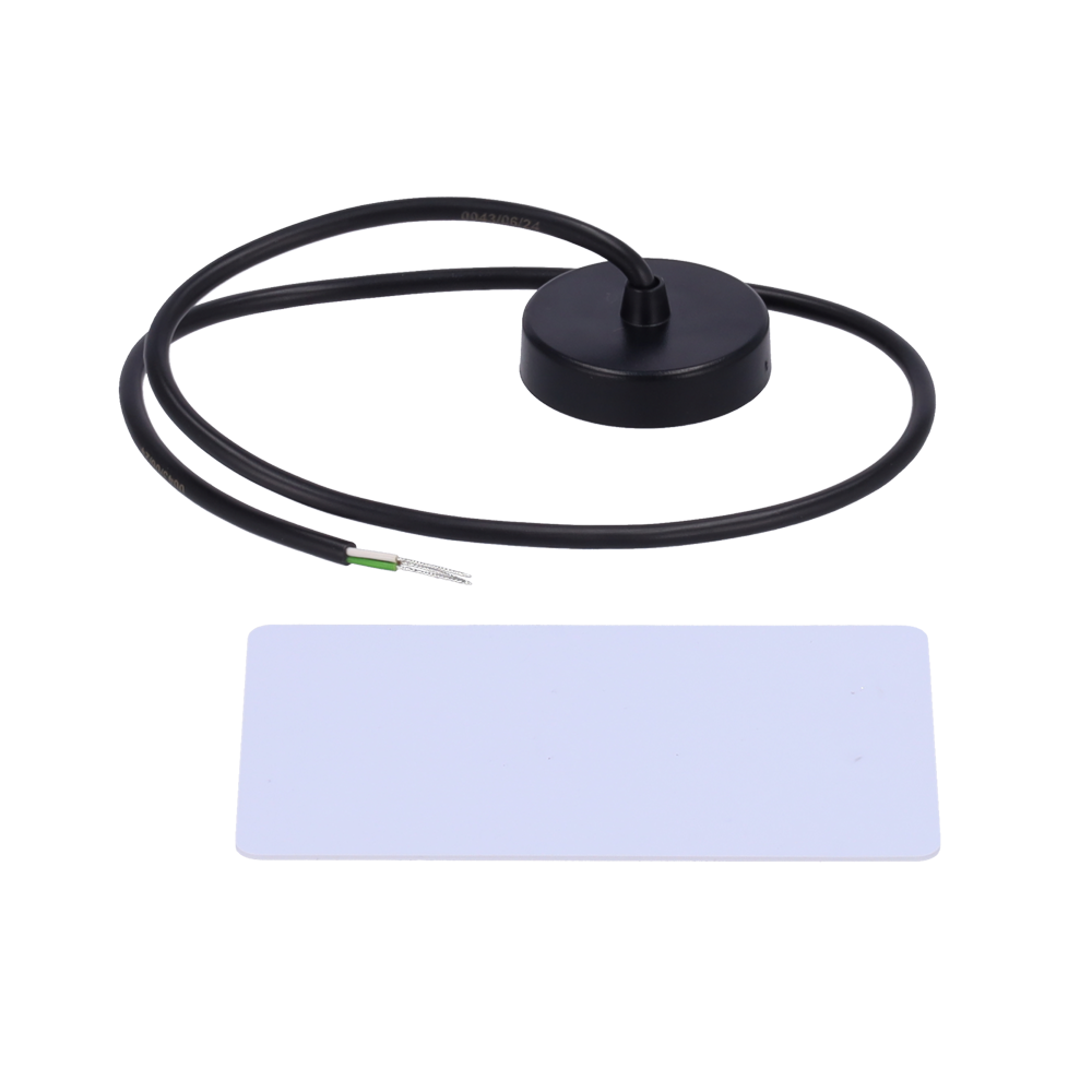 TELTONIKA TK-RFREADER-RFIDCARD - Lector de tarjetas RFID 1-wire - Para identificador de conductor e inmovilizado - Tarjeta incluida - imagen 3