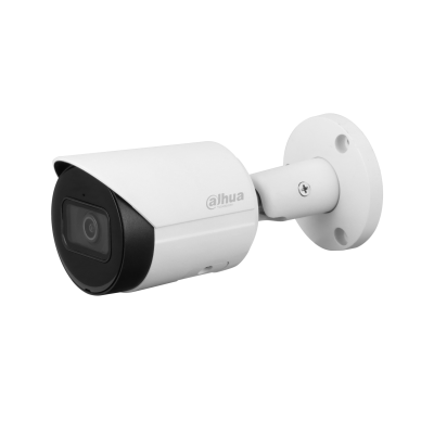 Imagen de Cámara IP Dahua DH-IPC-HFW2441S-S-0280B 4MP Exterior